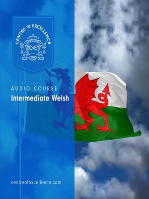 cover image of Intermediate Welsh